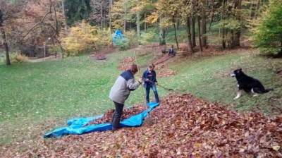 Arbeitseinsatz_11-2014_004.jpg
