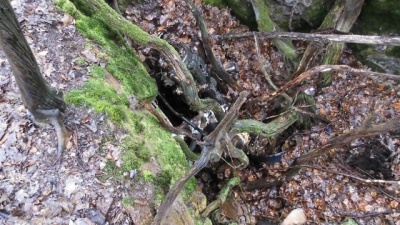 Erste_Einkehr_03-2015_039.JPG