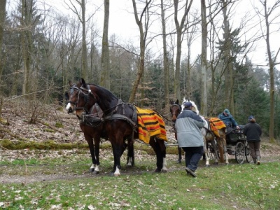 Ostereiersuche_04-2015_031.JPG