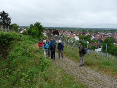 NaturErlebnistag_05-2015_019.JPG