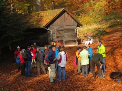 Saisonabschlusswanderung_11-2015_003.JPG
