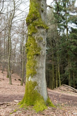Erste_Einkehr_04-2016_016.jpg