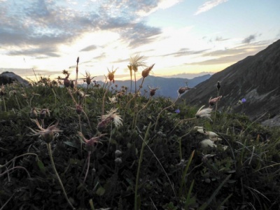 20160811_NF-FF_Steinbocktour_Sascha Gernold_76149.jpg