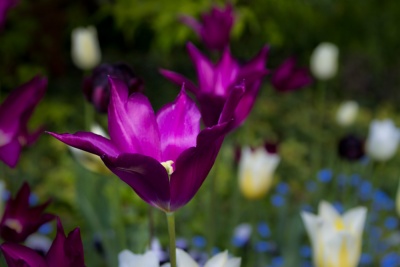 20170429 Hermannshof_Fotogruppe-5.jpg