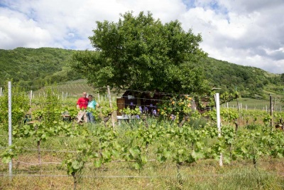 20170520_NF Einweihung Garten_Karl-11.jpg