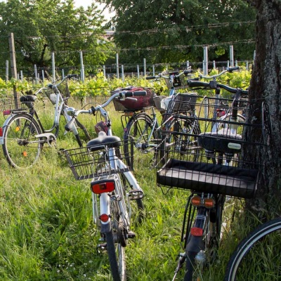 20170520_NF Einweihung Garten_Karl-124.jpg