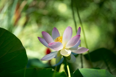 20170730 Fotogruppe_Zoo_Karl-126.jpg