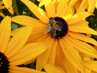 20170730 Fotogruppe_Zoo_Sabine-5.jpg