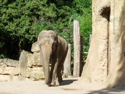 20170730 Fotogruppe_Zoo_Anna Maria-22.jpg