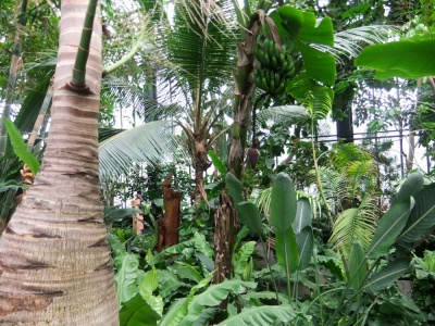 20170419 NF_Aktiv_Luisenpark_Anna Maria-4.jpg