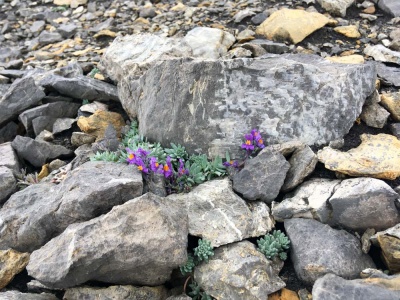 20170804 NF_Hochgebirge Brandner-Runde_Michael-222.jpg