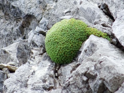 20170804 NF_Hochgebirgswanderung_Sascha-173.jpg