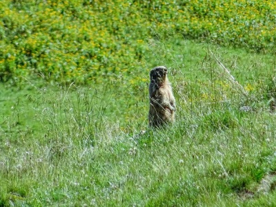 20170804 NF_Hochgebirgswanderung_Sascha-230.jpg