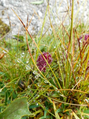 20170806 NF_Hochgebirgswanderung_Anke-9.jpg