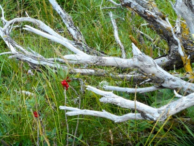 20170807 NF_Hochgebirgswanderung_Anke-12.jpg