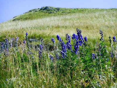 20170807 NF_Hochgebirgswanderung_Anke-15.jpg