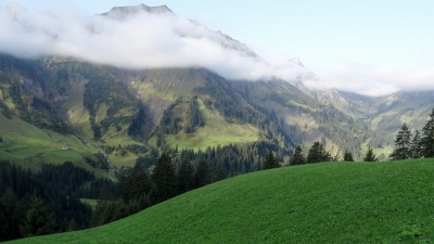 20170905 NF_Bregenzer Wald_Heinz-120.jpg