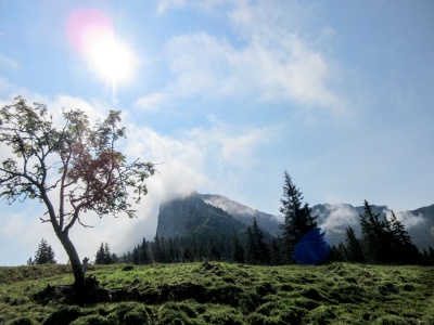 20170905 NF_Bregenzer Wald_Hilde-50.jpg