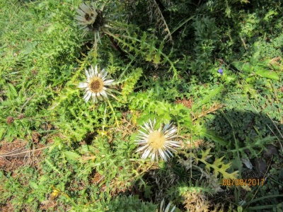 20170905 NF_Bregenzer Wald_Hilde-53.jpg
