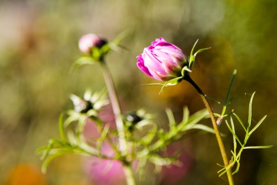 20170922 NF_Bad Urach_Karl-224.jpg