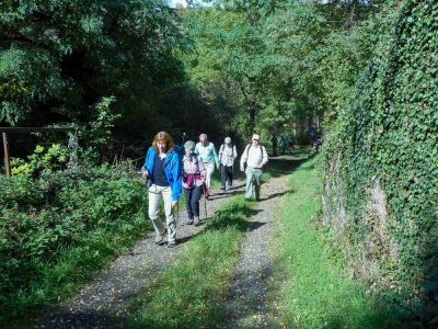 20171001 NF_Pfalzwanderung_Anke-16.jpg