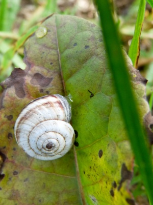 20171001 NF_Pfalzwanderung_Sabine-64.jpg