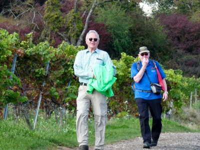 20171001 NF_Pfalzwanderung_Sabine-110.jpg