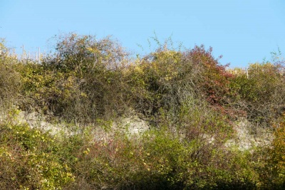 20171101 NF_Letzte Einkehr_Anke-11.jpg