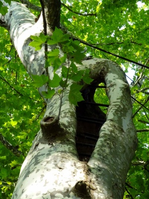 20170922 NF_Bad Urach_Sascha-110.jpg