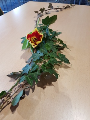 20180114 NF_Winterfeier_Sabine-3.jpg