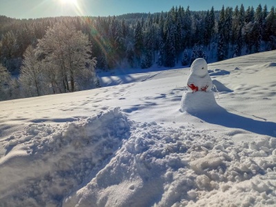 20180210 NF_Skifreizeit-36.jpg
