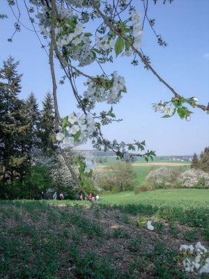 20180421 NF Hunsrück_Christl-8.jpg