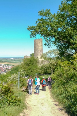 20180506 NF_Wanderung PWV_Anke-27.jpg