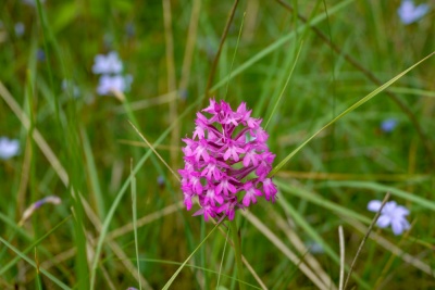 20180525 NF_Ardèche_Anke-190.jpg