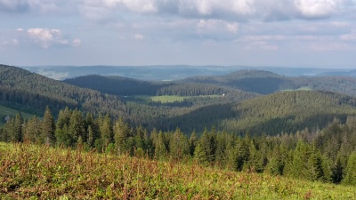 20180615 NF-Feldberg_Anke-129.jpg