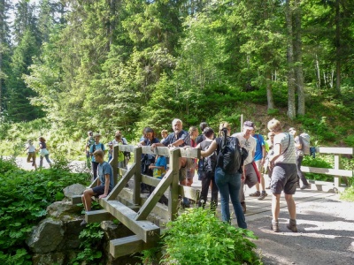 20180615 NF-Feldberg_Sabine-213.jpg
