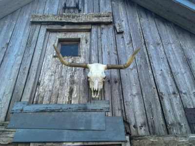 20180615 NF-Feldberg_Sascha-197.jpg