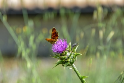 20180525 NF-Ardèche_Sascha-117.jpg