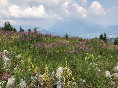 20180802 Hochgebirge_Watzmann_Rafael-79.jpg