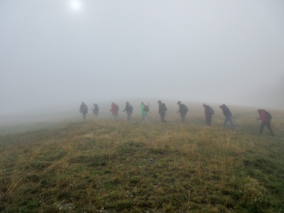 20180830 NF_Dachstein_Hilde-24.jpg