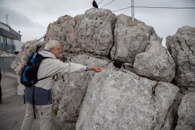 20180830 NF_Dachstein_Karl-207.jpg